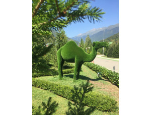 Скульптура Топиари "Верблюд одногорбый"